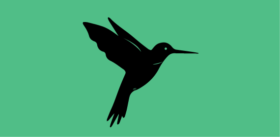 colibri